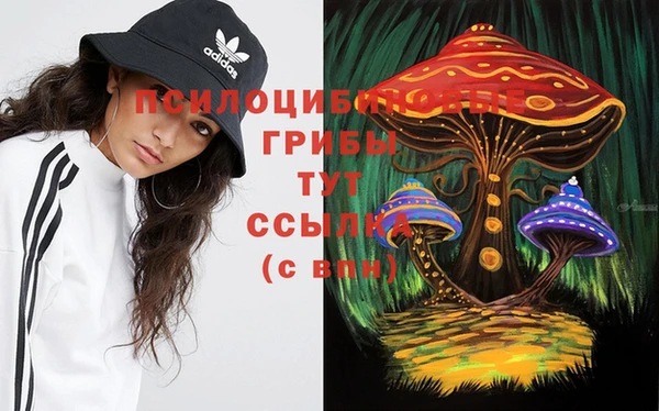 a pvp Киренск