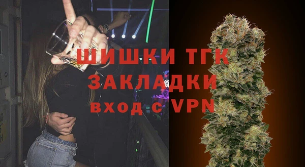 дмт Кинешма
